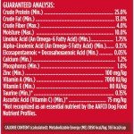 achael Ray Dog Food with Real Beef