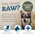 Cotswold RAW Active 80/20 Adult Dog Food 8kg