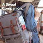 Lotus Biscoff Vegan Cookie Snack Dispenser Box