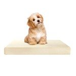 Memory Foam Cool Gel Dog Bed Cushion (18x27x2)