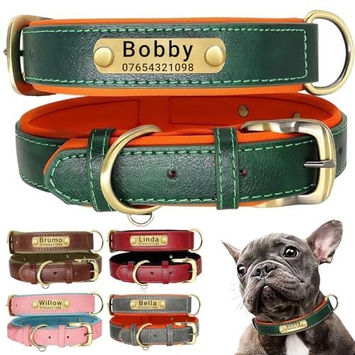 Dog Collars, Harness, Coats and Leads