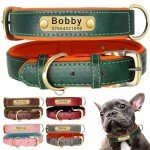 Personalized Soft Padded Leather Dog Collar