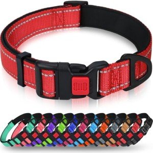 Adjustable Reflective Nylon Dog Collar for Medium Dogs