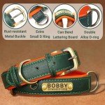 Personalized Soft Padded Leather Dog Collar