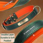 Personalized Soft Padded Leather Dog Collar
