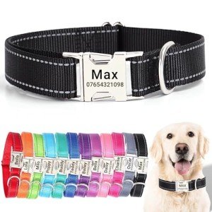Personalized Reflective Dog Collar with Name Plate