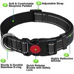 Reflective Adjustable Dog Collar with Soft Padding