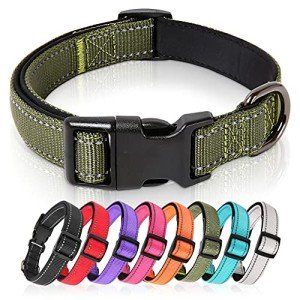 Reflective Soft Neoprene Dog Collar for Medium Dogs