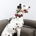 Plaid Adjustable Dog Collar for All Sizes