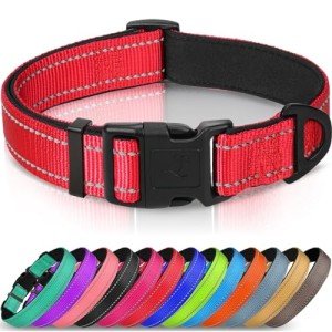 Joytale Adjustable Reflective Dog Collar for Medium Dogs