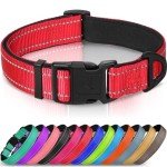 Joytale Adjustable Reflective Dog Collar for Medium Dogs