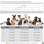 Personalized Soft Padded Leather Dog Collar