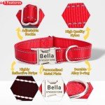 Personalized Reflective Dog Collar with Name Plate