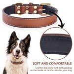 Comfortable Brown Leather Dog Collar for All Breeds