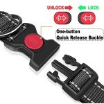 Reflective Adjustable Dog Collar with Soft Padding