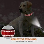 Adjustable Reflective Nylon Dog Collar for Medium Dogs