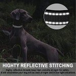 Reflective Adjustable Dog Collar with Soft Padding