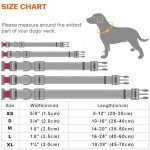 Adjustable Reflective Nylon Dog Collar for Medium Dogs