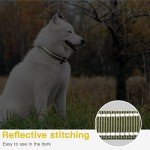 Reflective Soft Neoprene Dog Collar for Medium Dogs