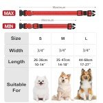 Adjustable Reflective Dog Collar with Safety Buckle