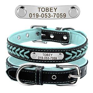 Personalized Soft Leather Dog Collar with Name Plate