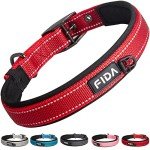 Heavy Duty Padded Dog Collar with Metal Buckle