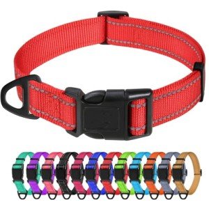 Reflective Adjustable Nylon Dog Collar for Small Dogs
