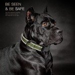Reflective Soft Neoprene Dog Collar for Medium Dogs
