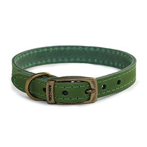 Ancol Timberwolf Durable Leather Dog Collar, Green