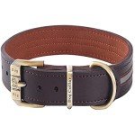 Heavy-Duty Reflective Leather Dog Collar - Brown