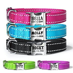 Custom Reflective Dog Collar with Engraved Buckle