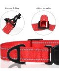 Reflective Adjustable Nylon Dog Collar for Small Dogs