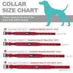 Heavy Duty Padded Dog Collar with Metal Buckle
