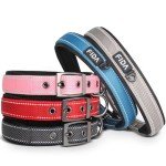 Heavy Duty Padded Dog Collar with Metal Buckle
