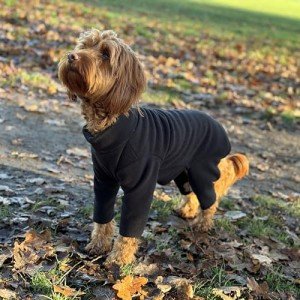 Cozy Black Dog Fleece Jacket - Medium Size