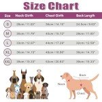 Reflective Waterproof Winter Jacket for Small Dogs