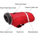 Waterproof Cold Weather Dog Jacket - Red, Large