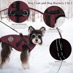 Waterproof Winter Dog Jacket with Harness
