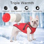 Warm Waterproof Dog Coat with Harness for Winter