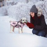 Reflective Waterproof Winter Jacket for Small Dogs