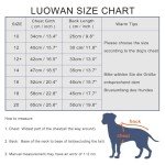 Warm Waterproof Dog Coat with Harness for Winter