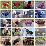 Waterproof Winter Dog Jacket with Harness