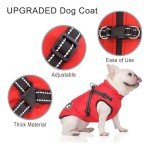 Warm Waterproof Dog Coat with Harness for Winter