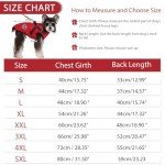 Waterproof Winter Dog Jacket with Harness