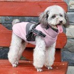 Reflective Waterproof Winter Jacket for Small Dogs