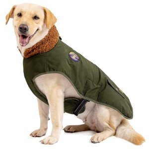 IREENUO Adjustable Waterproof Coat for Large Dogs