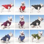 Warm Waterproof Dog Coat with Harness for Winter