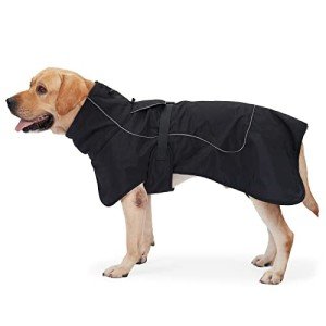 Waterproof Reflective Dog Jacket with Fleece Lining