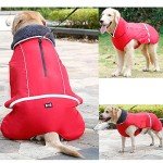 Waterproof Cold Weather Dog Jacket - Red, Large
