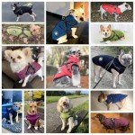Warm Waterproof Dog Coat with Harness for Winter
